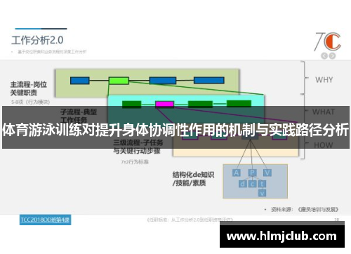 体育游泳训练对提升身体协调性作用的机制与实践路径分析